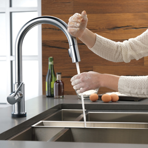 hands-free-kitchen faucet sprayer Charlotte