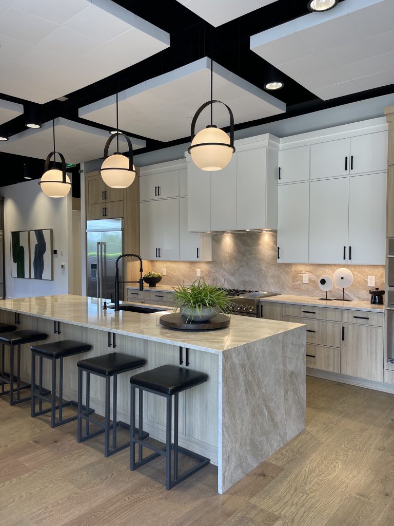 Quartzite Countertops 2